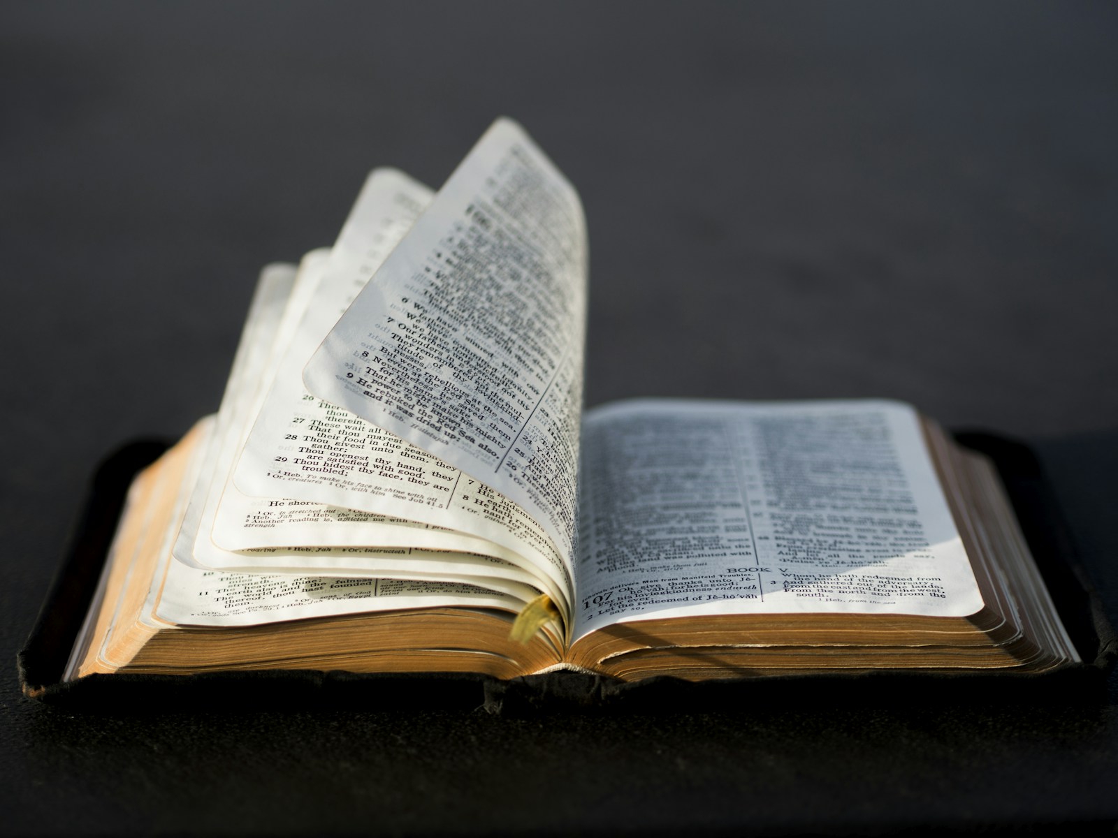 An open book ready to read